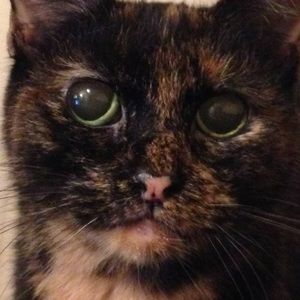 Meet your Posher, Jen & paul